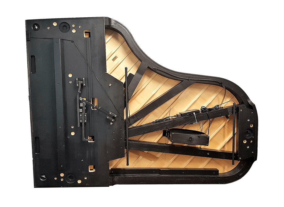 Piano Life Saver - Grand 6PS (Standard)